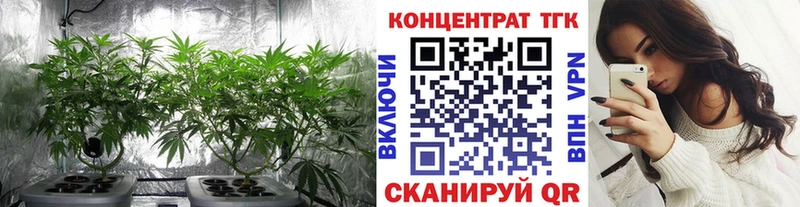 ТГК гашишное масло Купить закладки Строитель