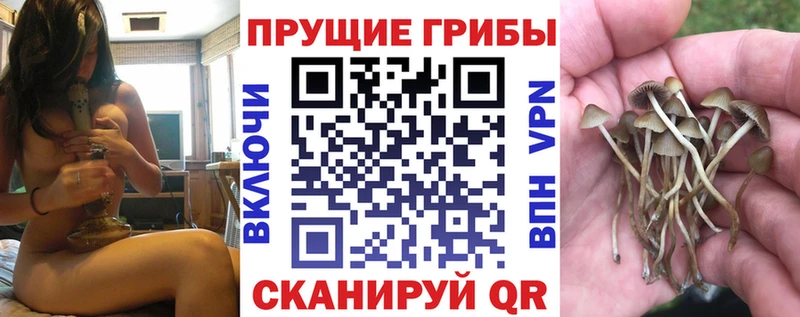 Галлюциногенные грибы GOLDEN TEACHER  Купить закладки  Строитель 